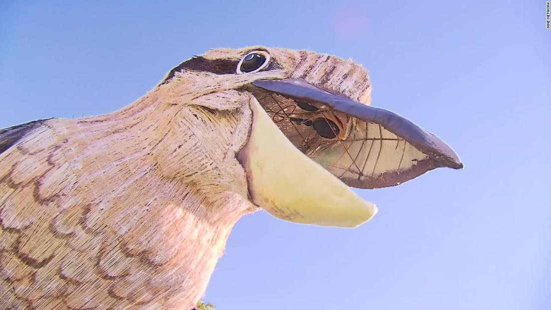 Wide kookaburra sculpture is bringing pleasure —