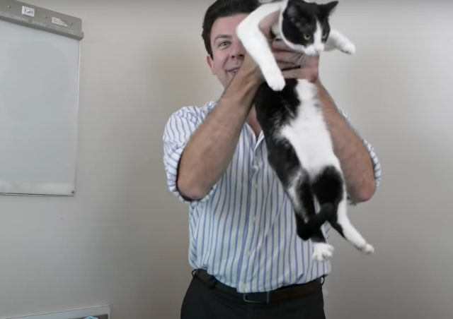 Treasured Files: How To Effectively Rob Up A Cat
