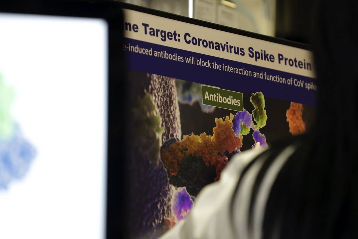 Fresh coronavirus mutation could maybe presumably also make it even more infectious