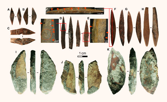 Forty eight,000-Year-Veteran Arrowheads Unearthed in Sri Lanka