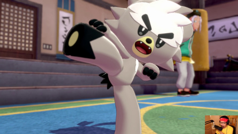Fast Look: Pokémon Sword and Protect: Isle of Armor DLC