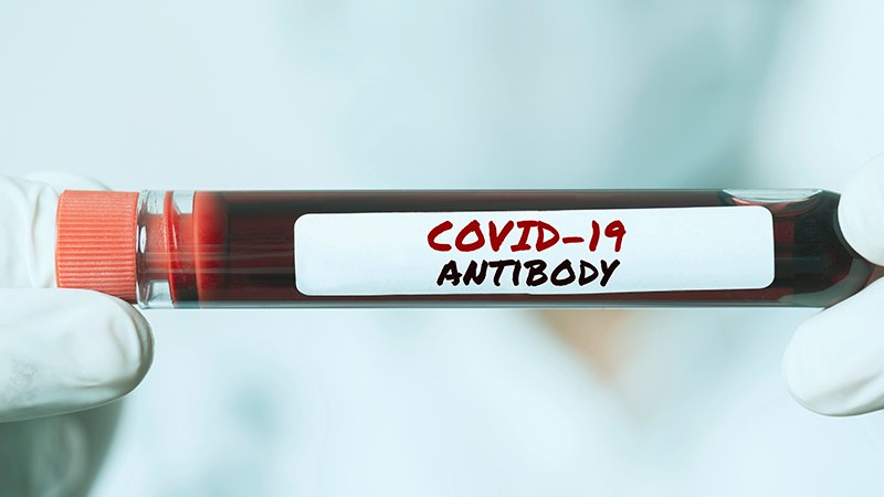 COVID-19 Antibodies Can Depart After 2-3 Months, Check Reveals