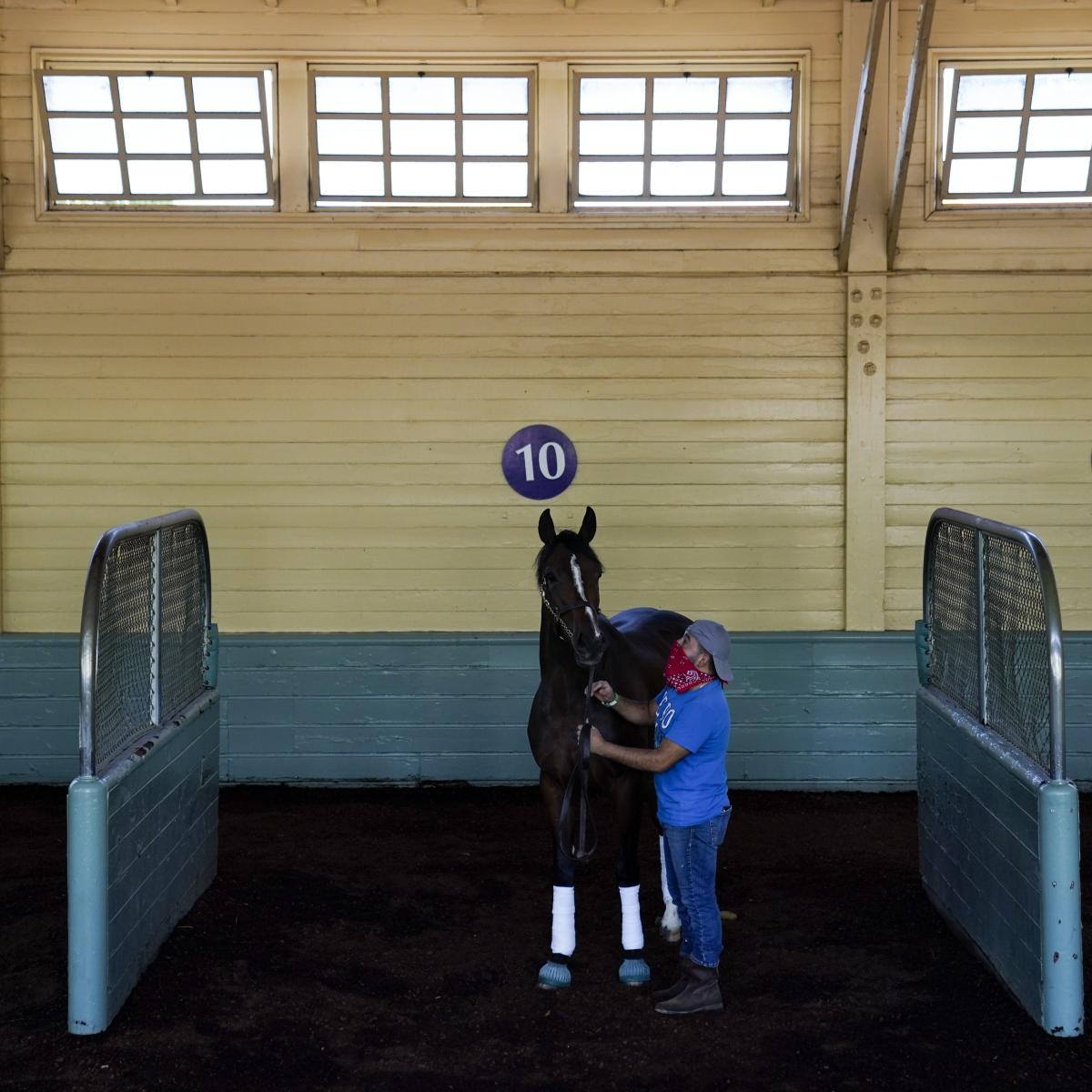 4-Year Aged Colt Strictly Biz Is 15th Horse to Die at Santa Anita This Season