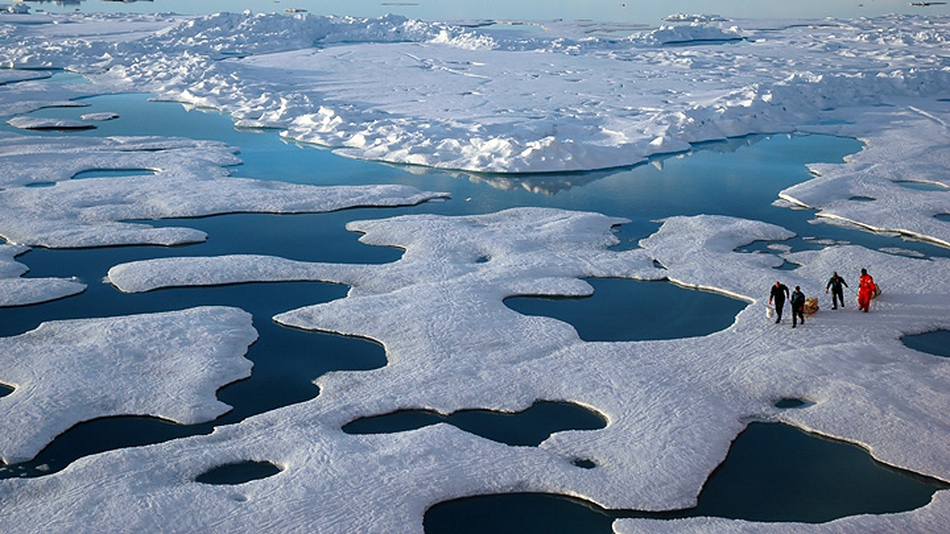 Why Arctic sea ice beautiful crashed to an coarse, document low