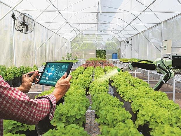 How tech birth-u.s.are working to resolve considerations, challenges of agri sector