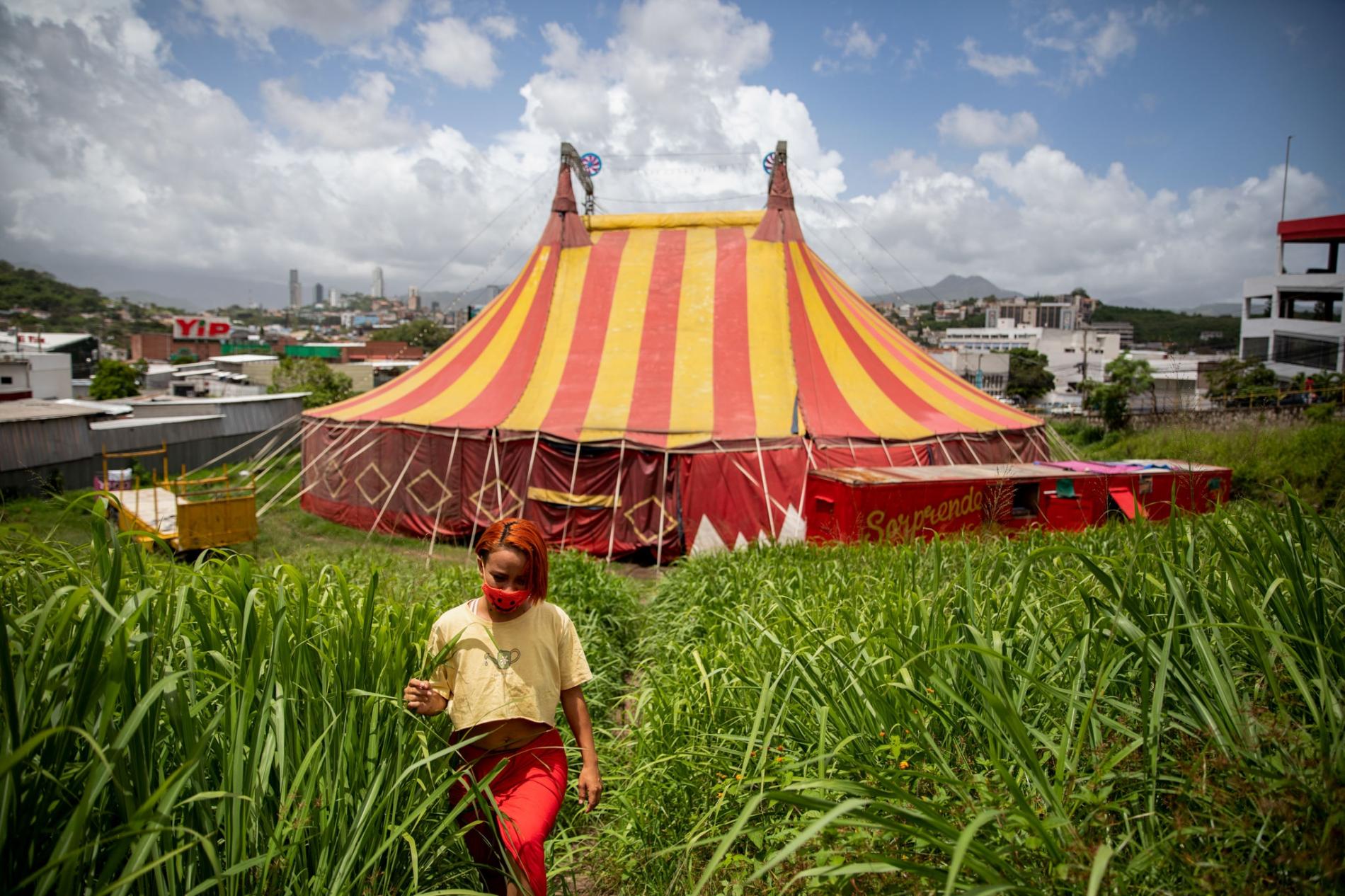 The Spectacular Story Of A Stranded Circus — And Its Large Rush From Honduras