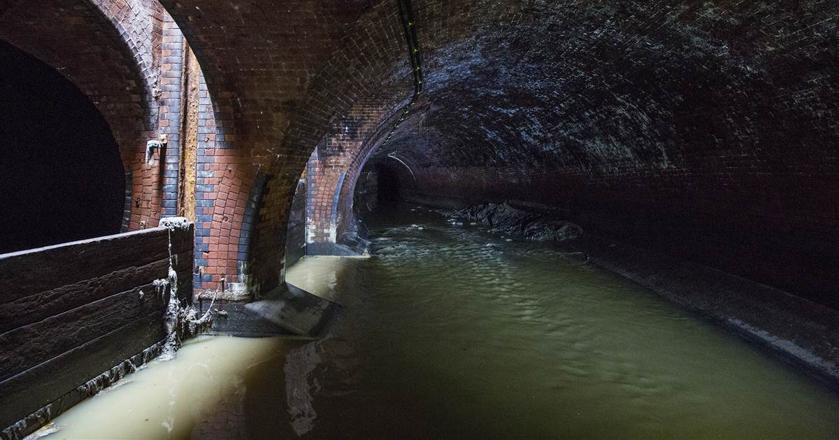In leer for a coronavirus early warning system, scientists explore to the sewers