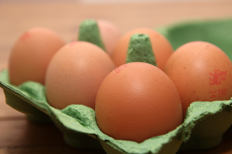 Salmonella outbreak linked to British eggs