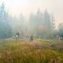 Nearly 300 wildfires in Siberia amid memoir warm climate