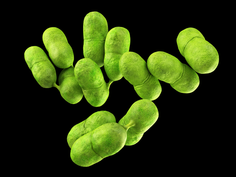 Mission to search out at 2019 Spanish Listeria outbreak
