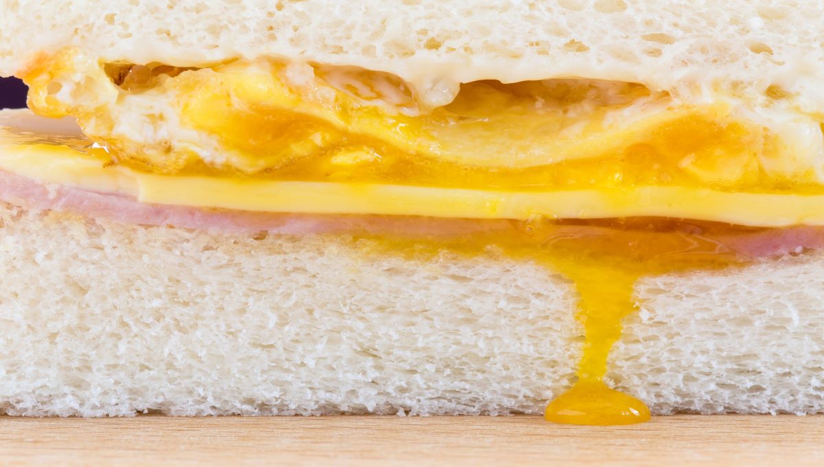 Deplorable contamination, temperature abuse factors in sandwich outbreak