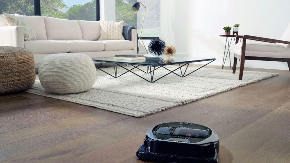 Set your self the effort of cleansing up with a robot vacuum on sale