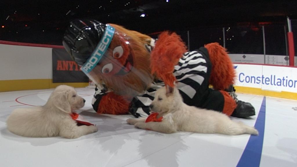 Gritty officiates ‘Pups on Ice’ at some level of intermissions of Flyers game