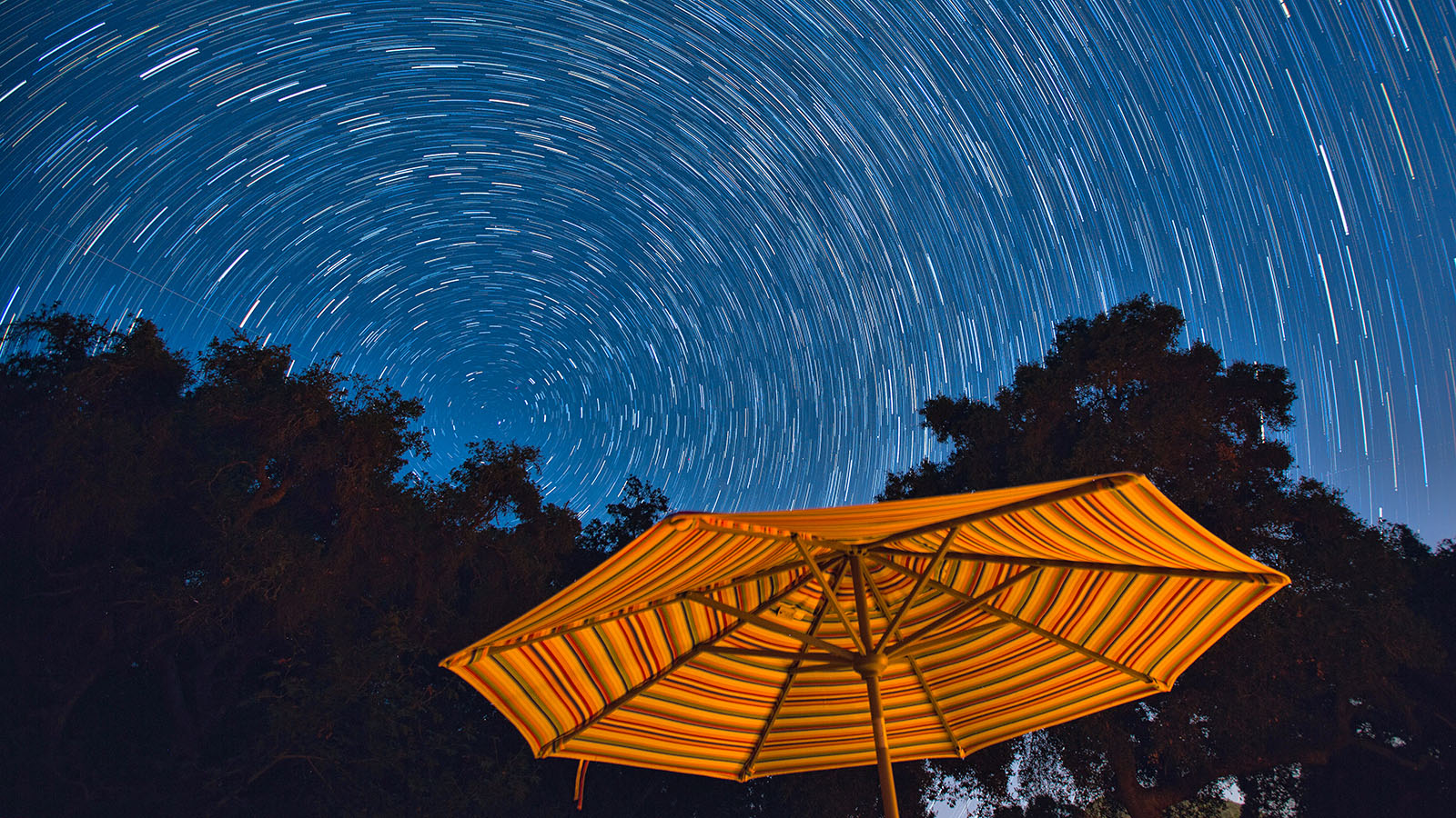 The Perseid Meteor Shower Is Abet — Right here’s What You Need to Know