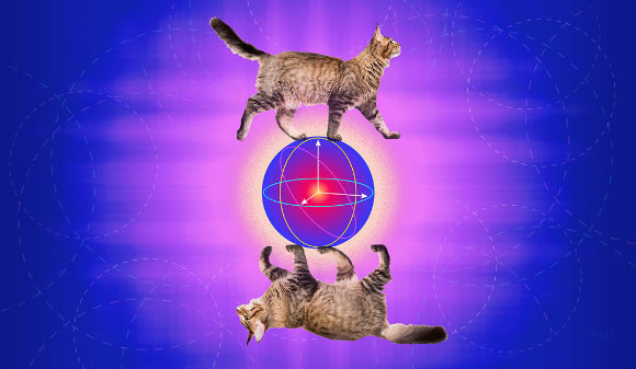 Physicists Kind Error-Correcting Schrödinger’s Cat