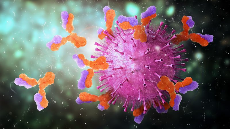 T Cells a More Accurate Immune Indicator in COVID-19?