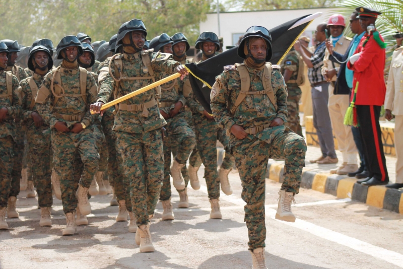 Suicide automobile bomb kills Somali special forces, injures 1 U.S. officer