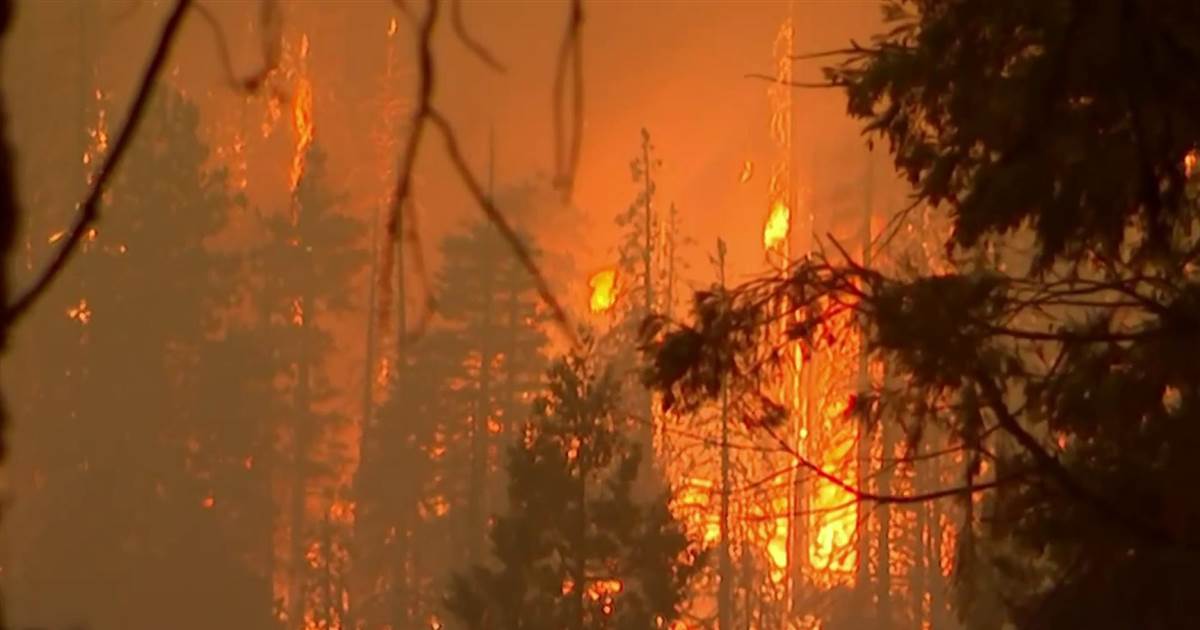 Scientists warn climate commerce is worsening California’s wildfires