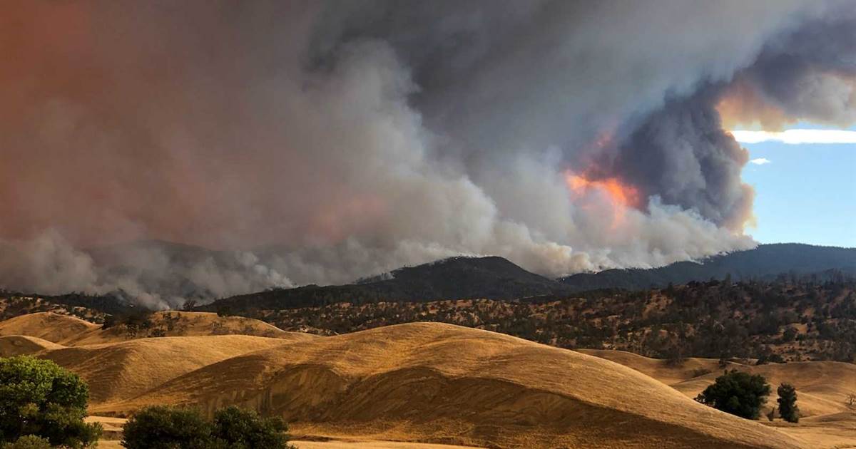 Biggest wildfire in California historical past grows to 750,000 acres