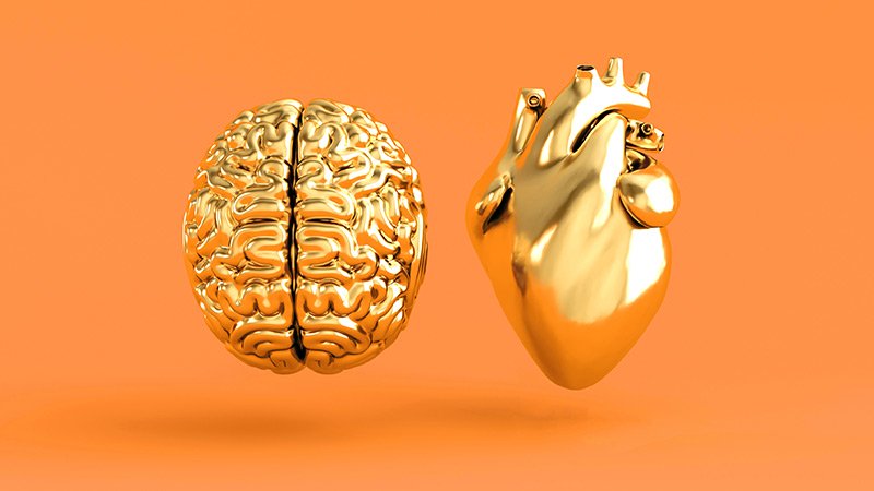 Cardiovascular Chance Components Linked to Mind Atrophy in MS