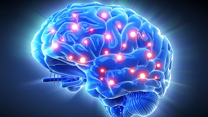 Researchers Name Five Cognitive Phenotypes in MS