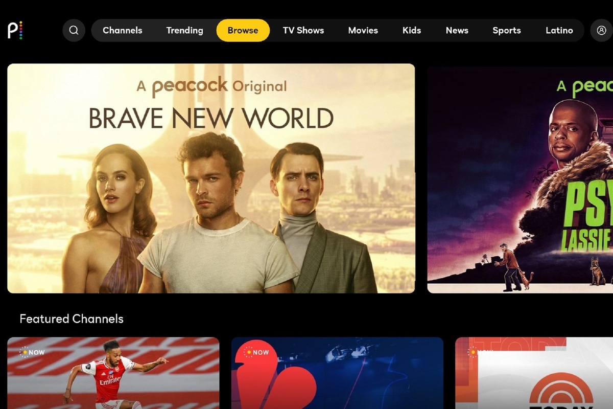 NBCU’s Peacock app sooner or later arrives on Roku following Comcast standoff