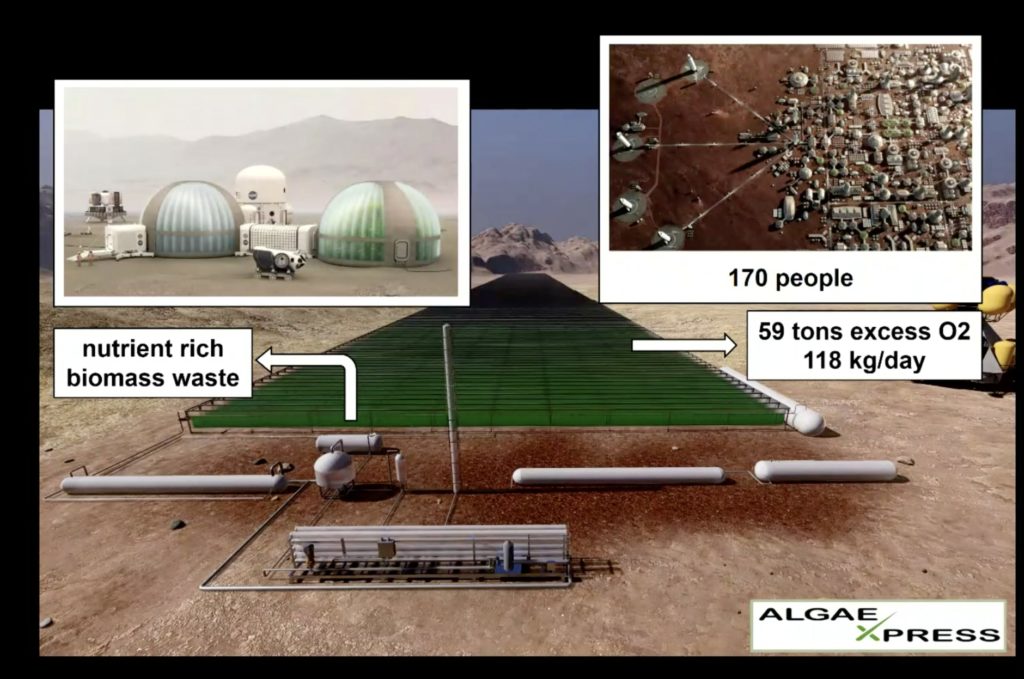 Algae for Gasoline Production on Mars