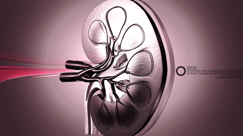 TAVR and Power Kidney Illness: An Rising Extra special Couple