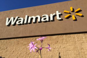 Walmart Plus also can in some unspecified time in the future rival Amazon High, then as soon as more it be purchased a protracted blueprint to pass
