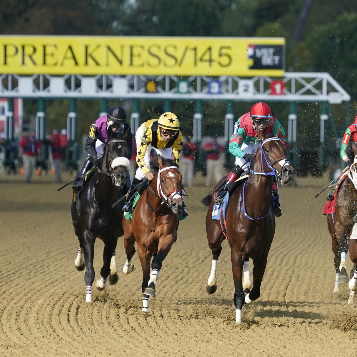 Preakness 2020: Up-to-the-minute Climate Forecast, Odds and Arena Predictions