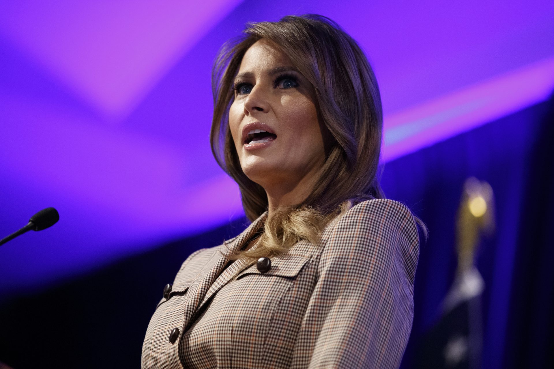 The Most neatly-liked Secret Melania Tape Has Her Attacking Stormy Daniels