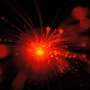 Single laser produces excessive-energy twin comb femtosecond pulses