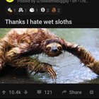 Cursed_sloth