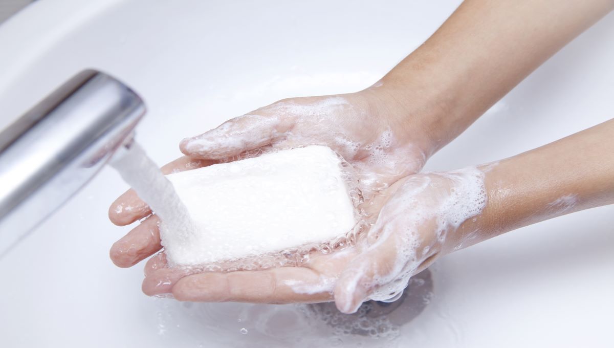 Expected handwashing rise no longer mirrored in surveys in Australia, U.S.