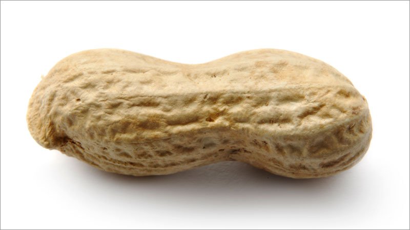 EMA Panel Backs Peanut Allergic response Desensitizing Powder Palforzia