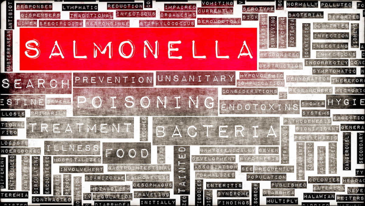 Salmonella dominates events attractive INFOSAN