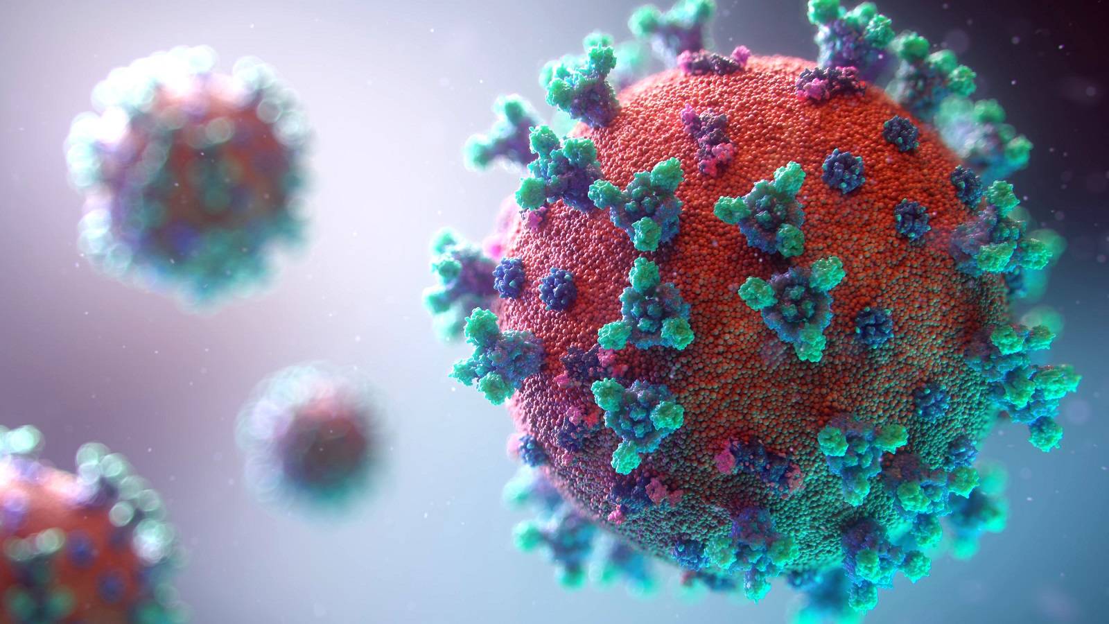 This step forward on the total is an colossal turning level for the coronavirus pandemic