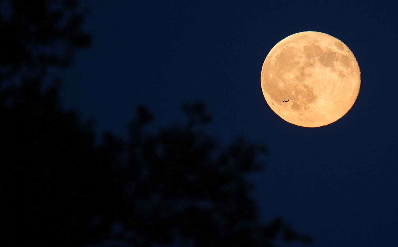 October fleshy moon 2020: A ‘Blue Minimoon’ will grasp-out Halloween