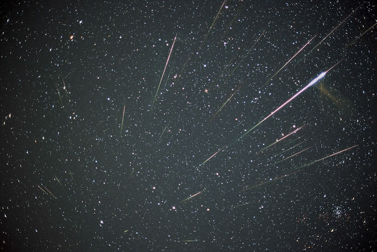 Leonid meteor bathe 2020: When, where & how to see it