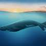 Fresh fossil seal species rewrites history