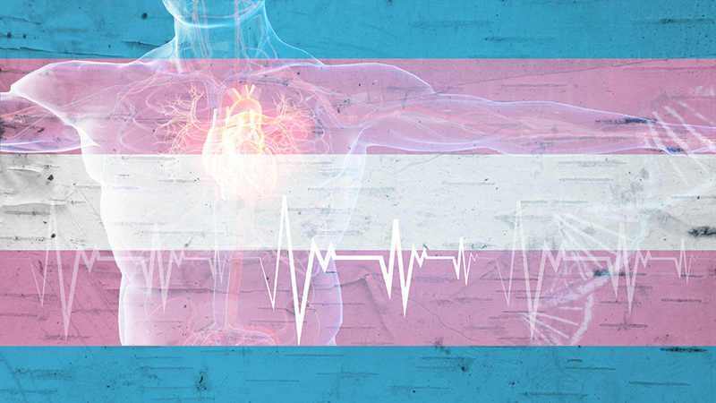 Invent no longer Pass over Cardiovascular Threat Factors in Transgender Sufferers