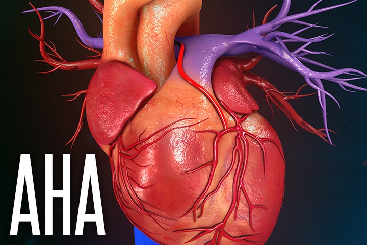 AHA: Highlighting Efficient ‘Actual-World’ Heart Tx Methods