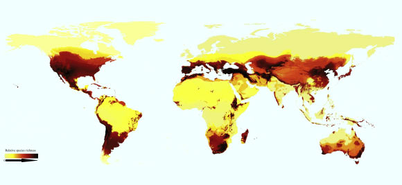 Scientists Plot Distribution of Bee Species Worldwide