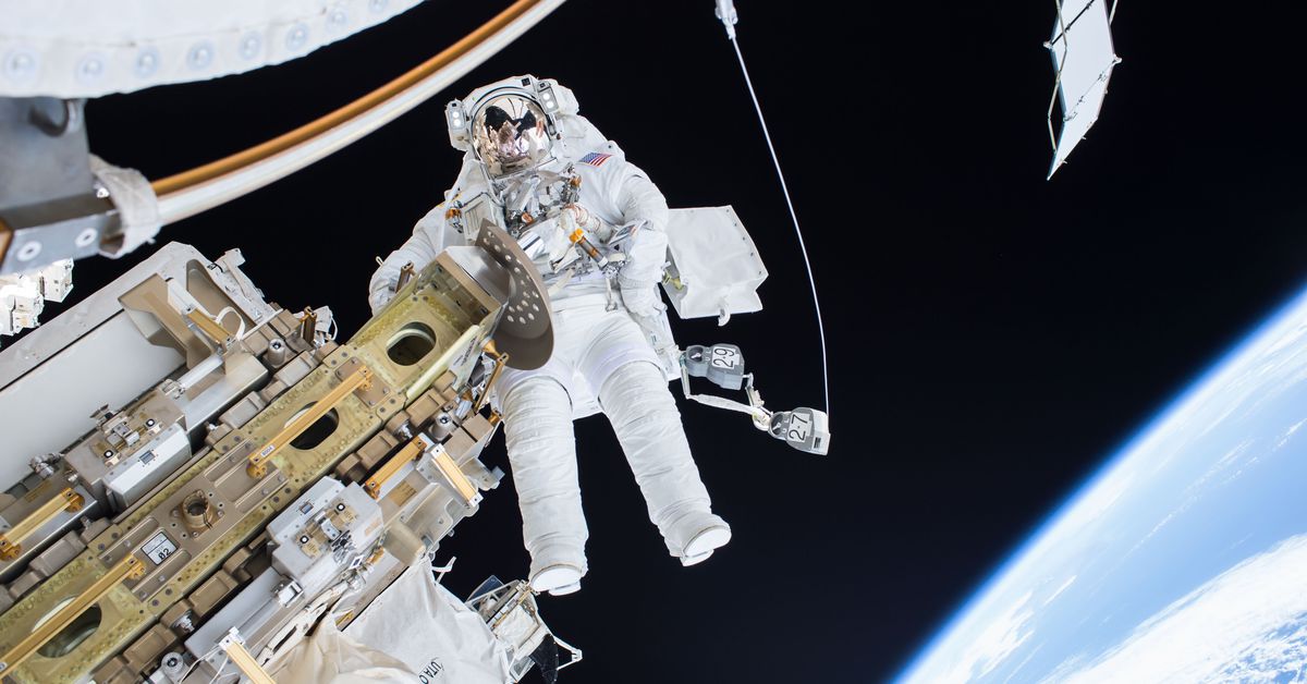 Spaceflight impacts the human physique in two major, peculiar methods