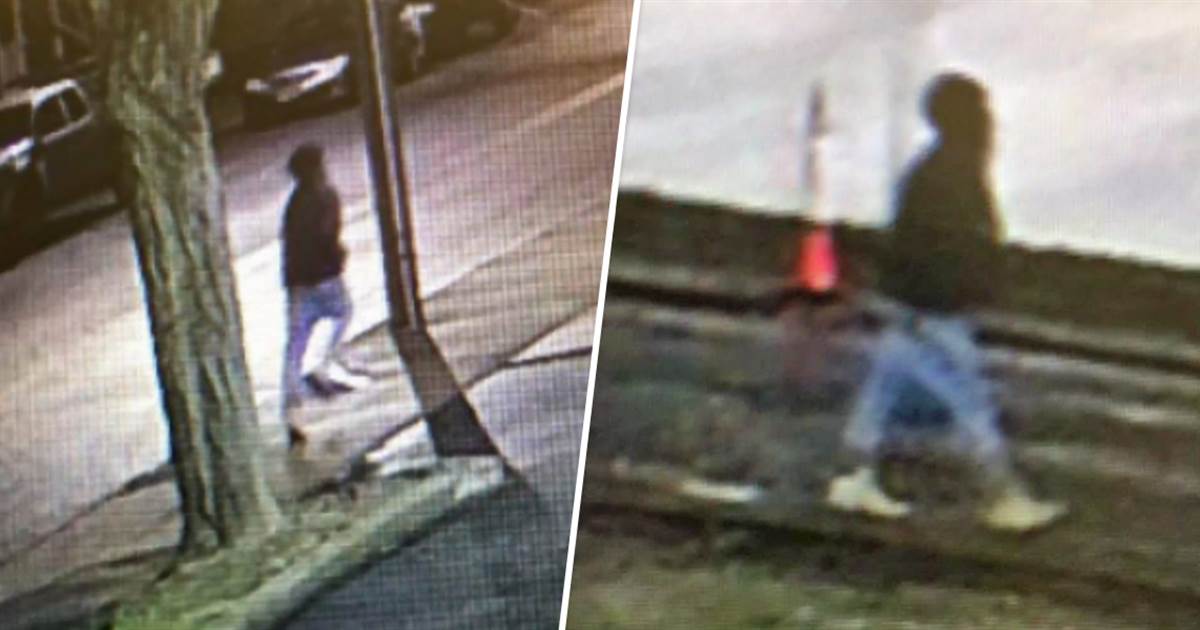 $5,000 reward equipped in series of ‘unprovoked attacks’ in Massachusetts