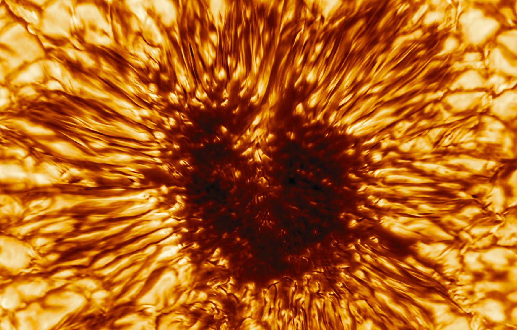 This would possibly possibly occasionally additionally very properly be essentially the most incredible image of the Sun we’ve ever seen