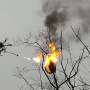 Flamethrower drone incinerates wasp nests in China