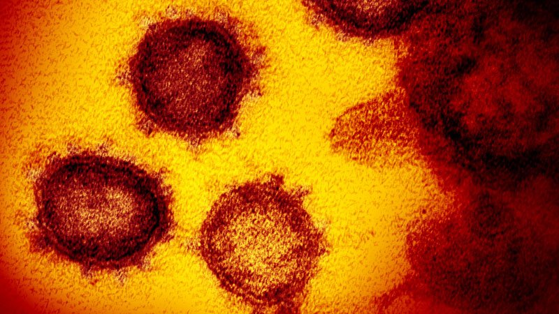 Virus ‘Endemic,’ Question More Variants, Vaccine Tweaks