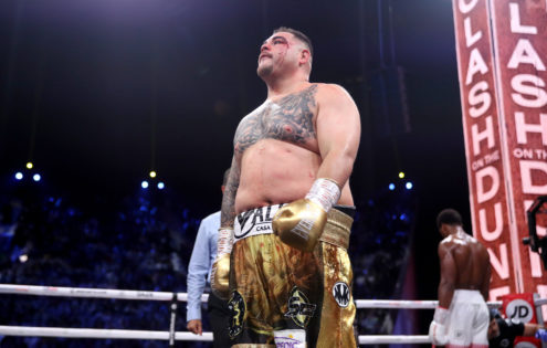 Andy Ruiz Jr: Every little thing Concerning the Ragged Champion’s Diet