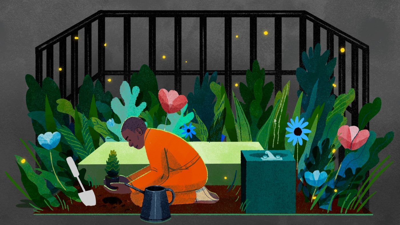These gardens quiz company to re-evaluate solitary confinement